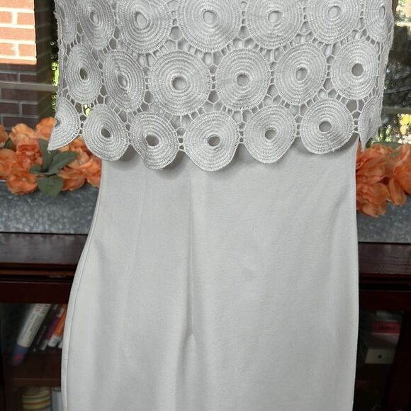 Calvin Klein Sleeveless Circle Lace Popover Sheath - Picture 5 of 13